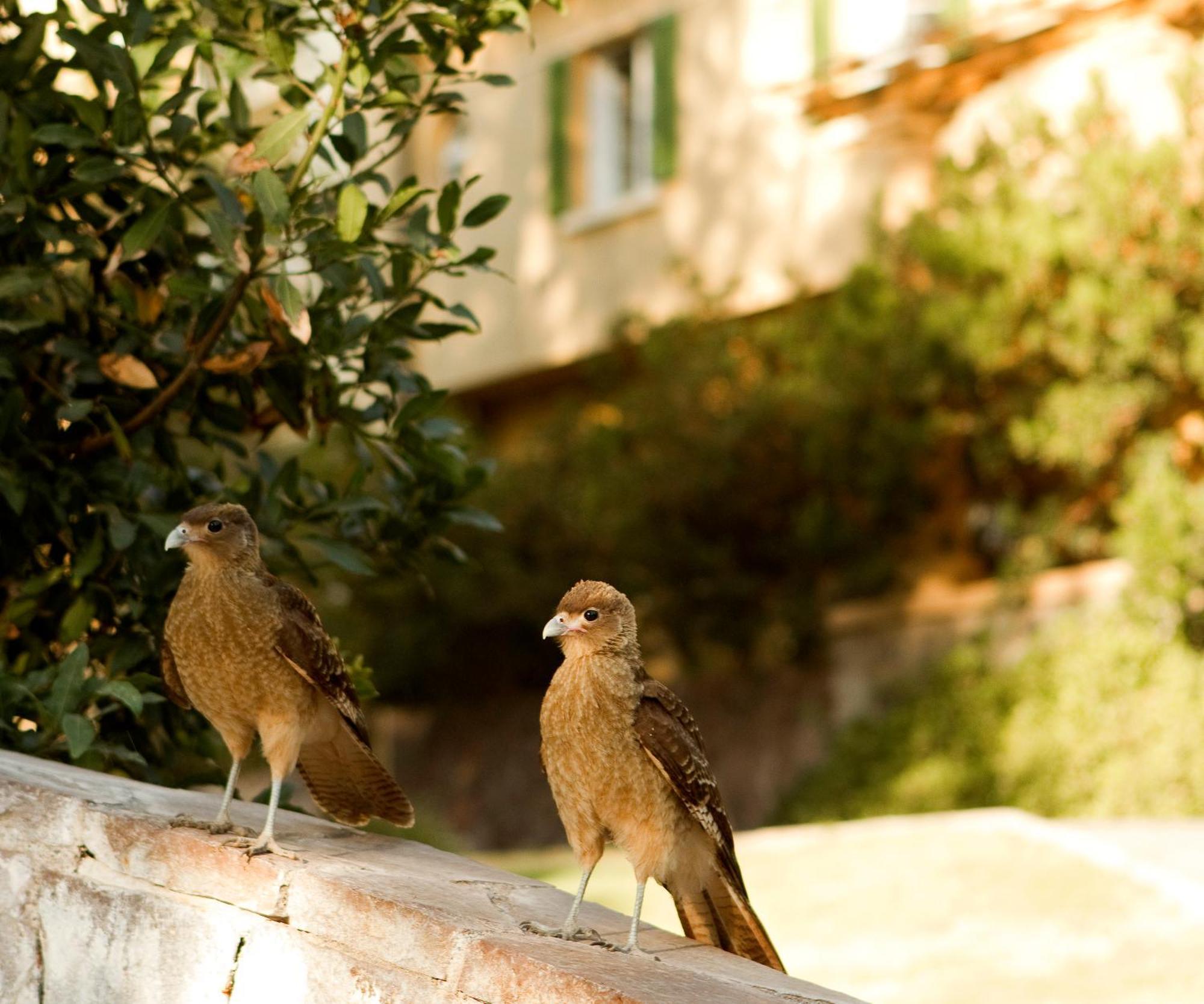 Santa María Termas De Jahuel Hotel & Spa מראה חיצוני תמונה